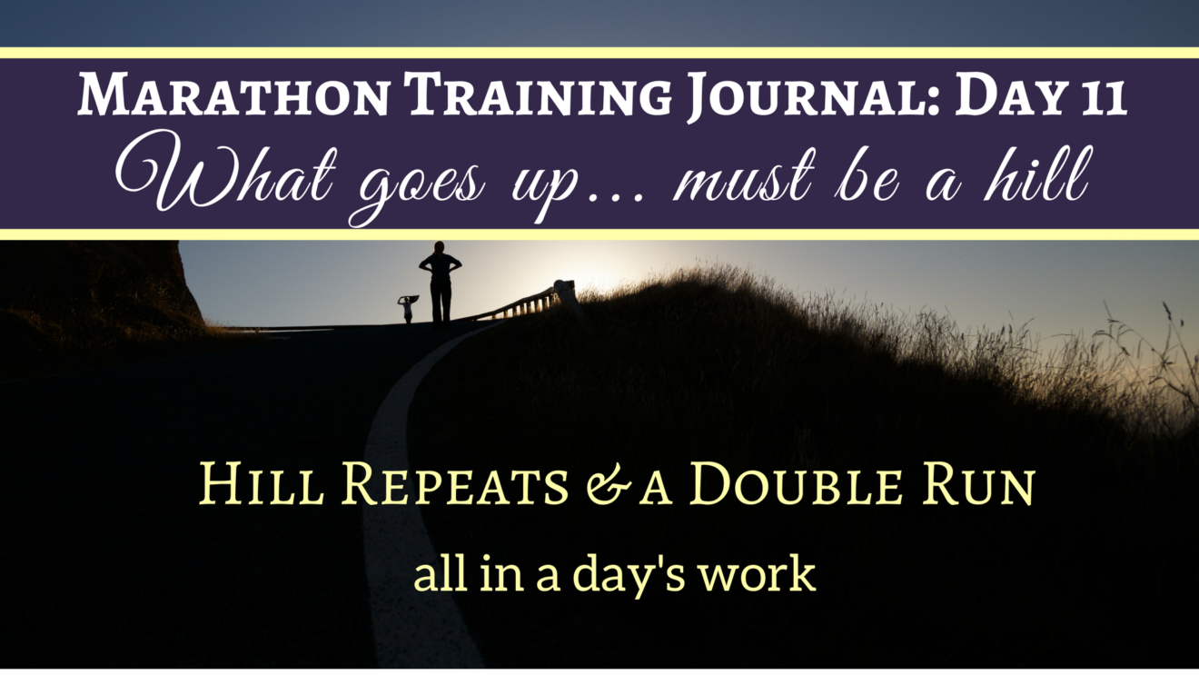 Marathon Training Journal Day 11