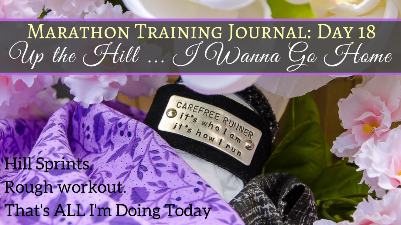 Marathon Training Journal Day 18 Hill Sprints