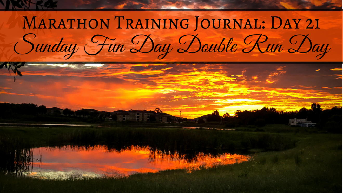 Training Journal Sunday Fun Run