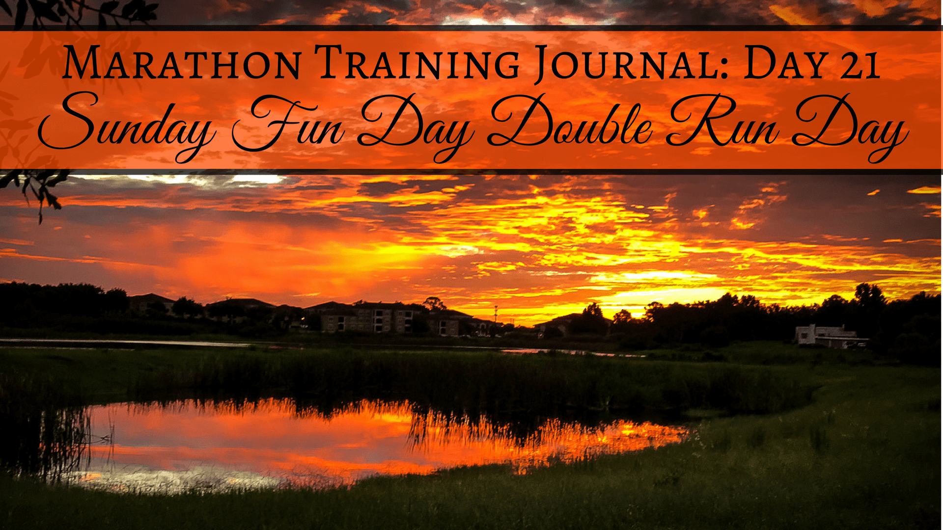 Marathon Training Journal- Day 21