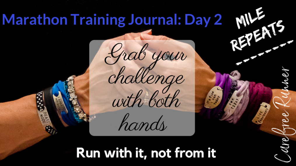 Marathon Training Journal Day 2